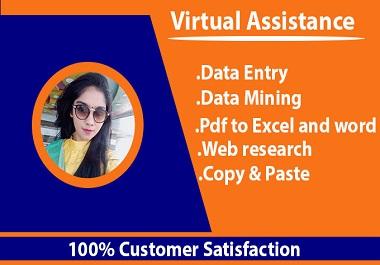 I will be your virtual assistant for data entryweb re...