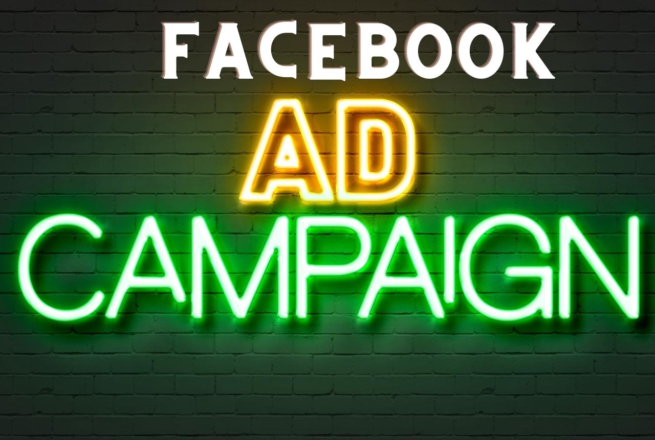I will create and manage facebook ads campaign for yo...