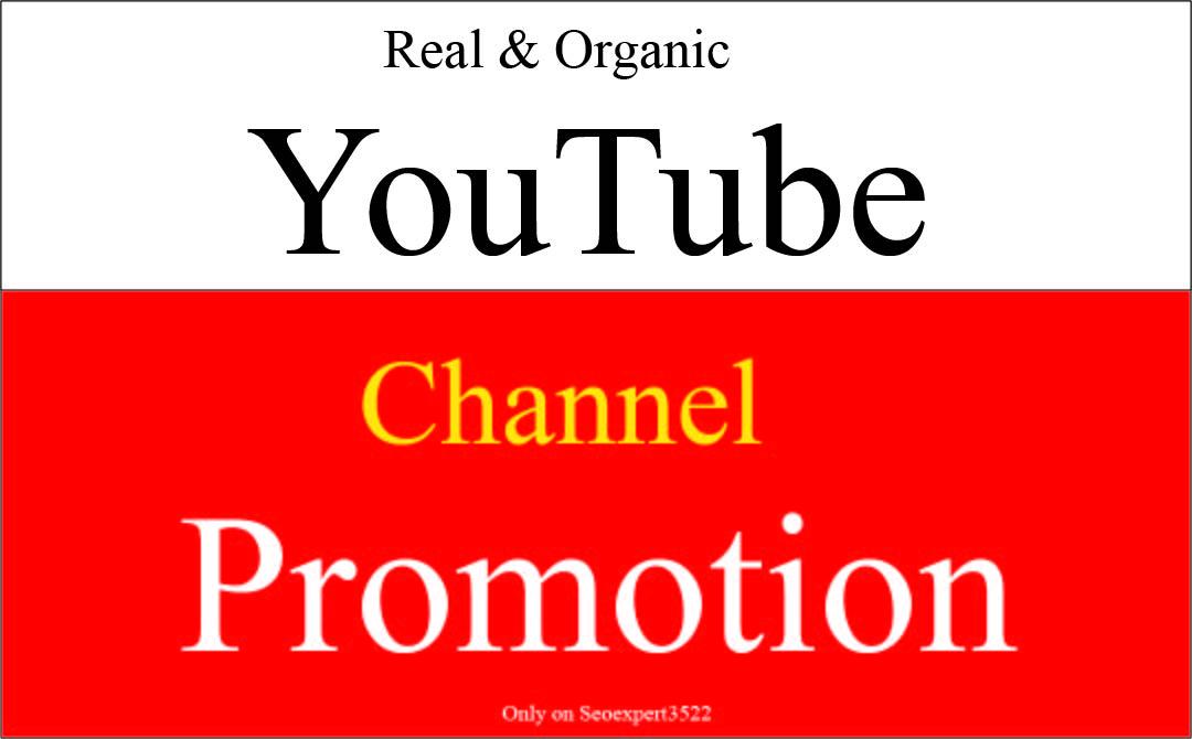 I will do super fast organic youtube vidoe promotion ...