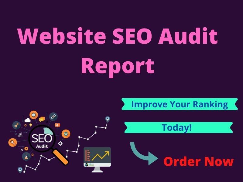 I will provide expert SEO audit report for your websi...