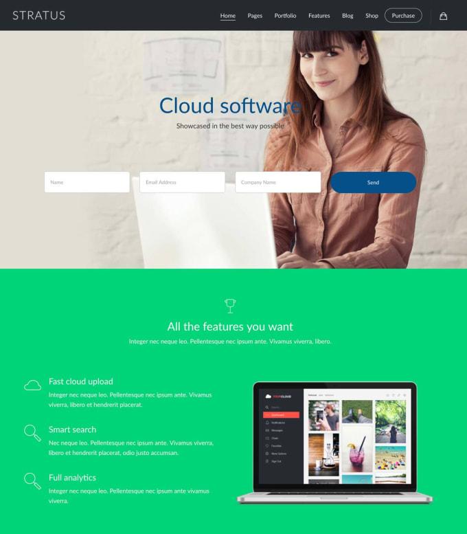 build professional web design or landing page