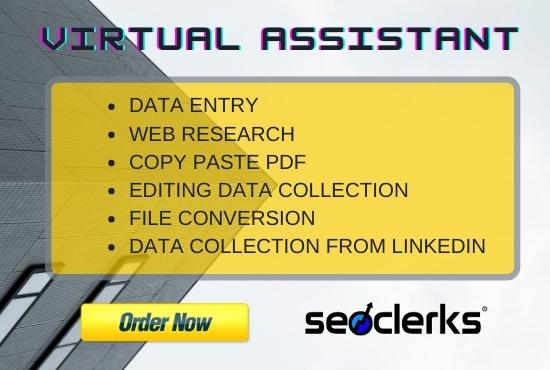 I will be your expert assistant for virtual data entr...