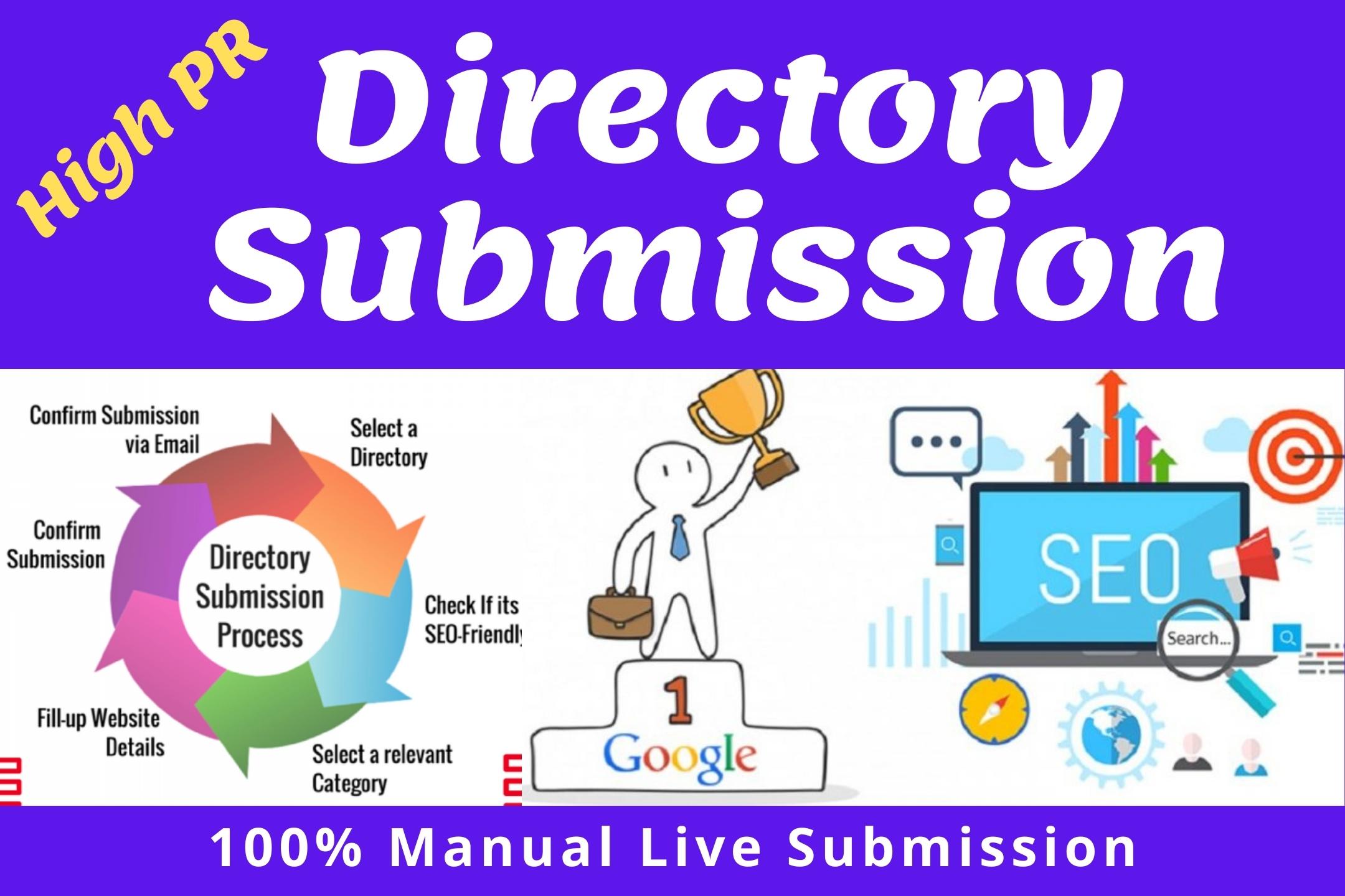 I will provide High PR 100 live directory submissions...