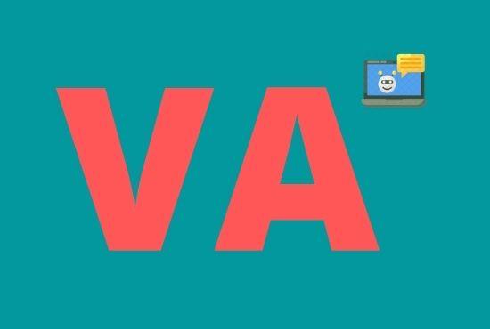 I will be your best Virtual assistant for data entry