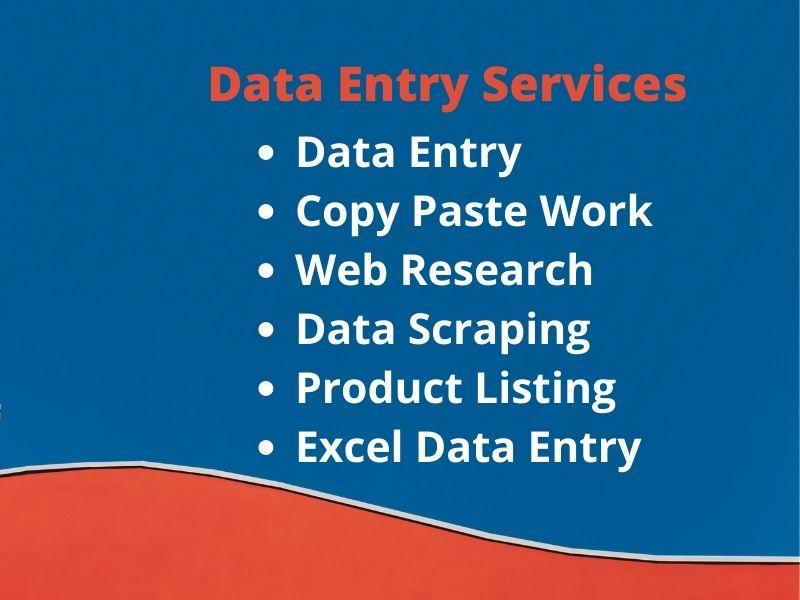 I will do data entry, copy paste, typing and data e...