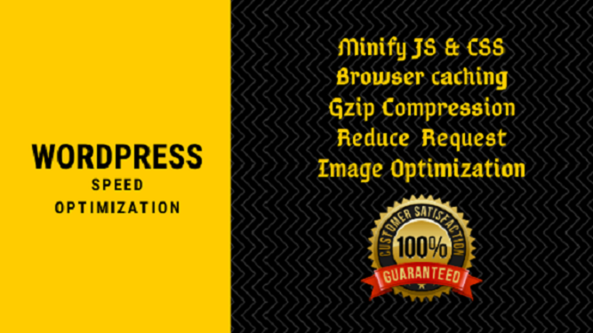 i will do speed optimization of Wordpress Website Pro...
