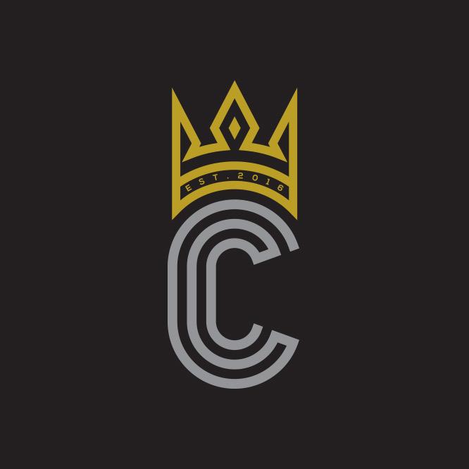 I will design unique LOGOS for your company/websites ...