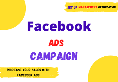 I will be your Facebook ads manager and run your Face...