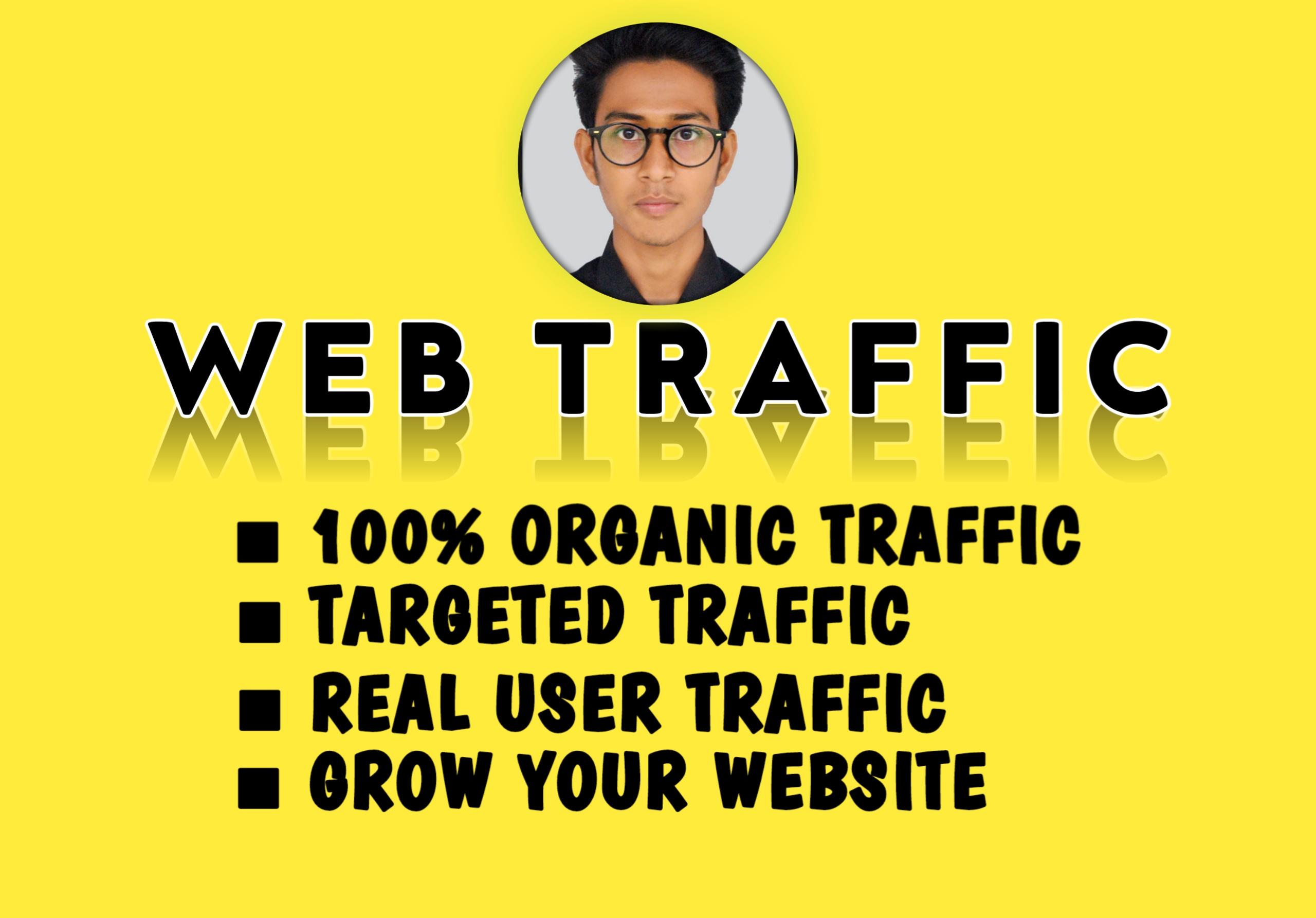 I will do provide you, your usa web traffic on your ...