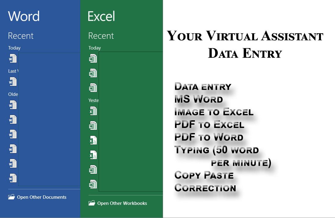 I will be your Virtual assistant of data entry for 8 ...