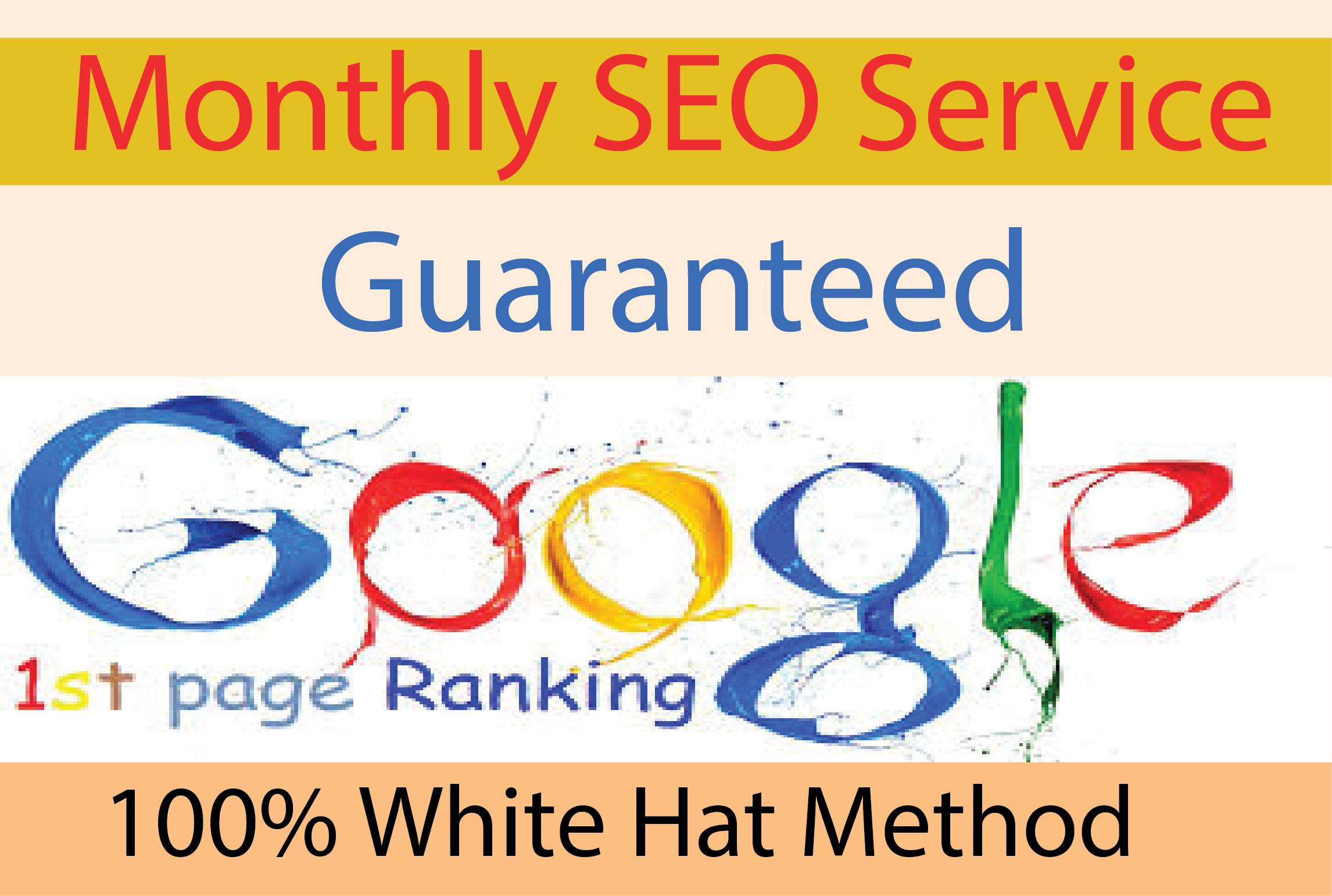 I will Provide monthly complete SEO service for your ...