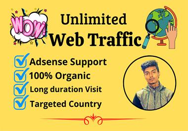 I will drive organic Web Traffic safe for your websit...