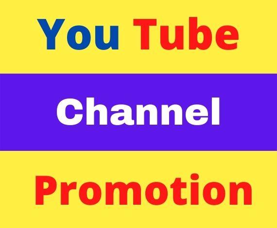 I will do Organic top YouTube Video promotion and seo