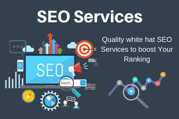 I will do local monthly off page SEO service quality ...