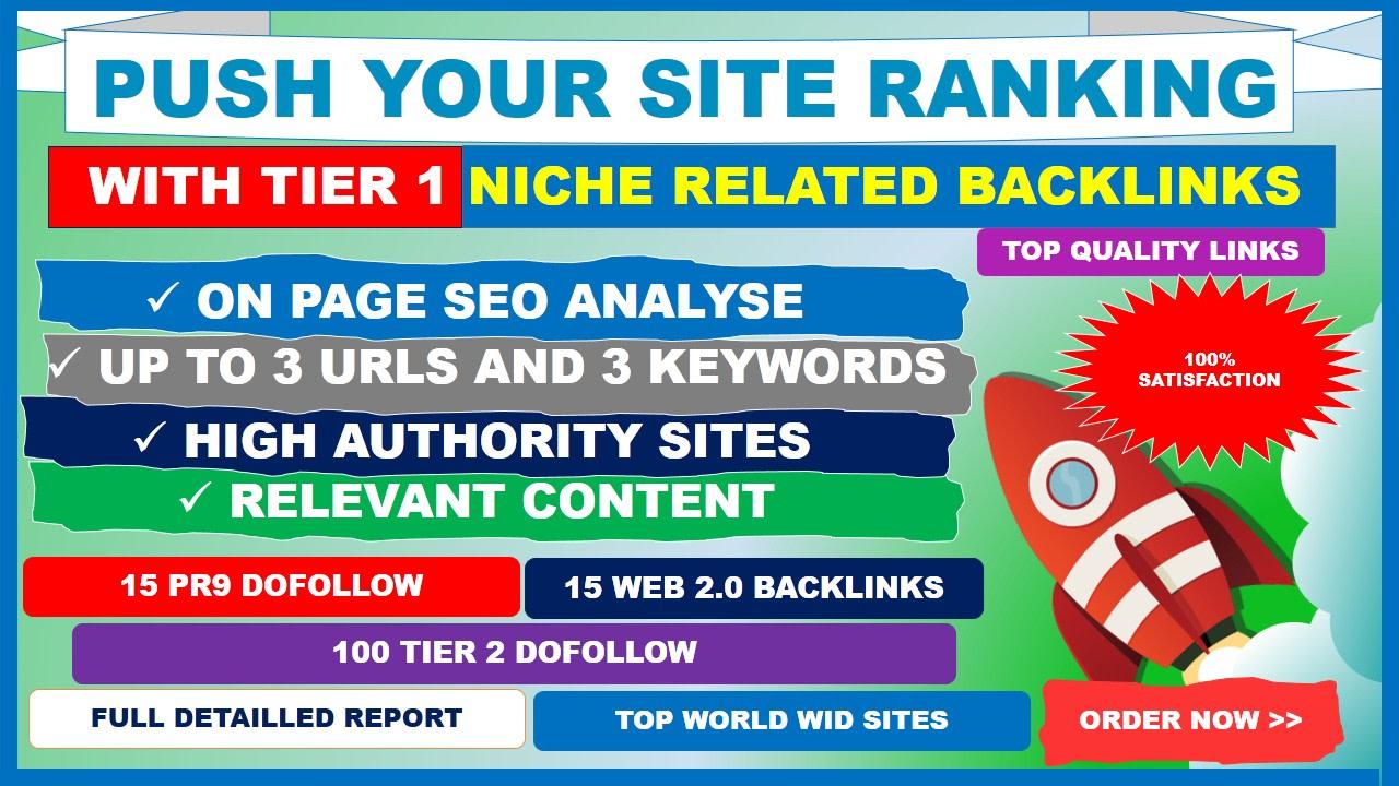 I will push your site ranking with tier 1 niche relat...