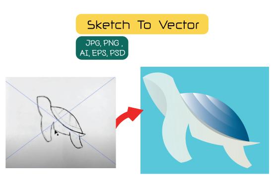 I will convert Sketch to Vector of Images Professiona...