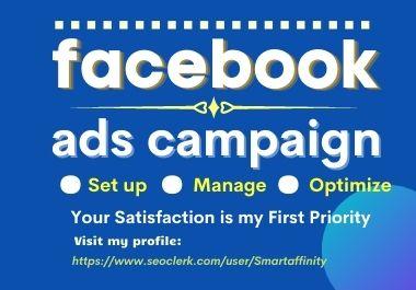 I will set up and manage a super-profitable Facebook ...