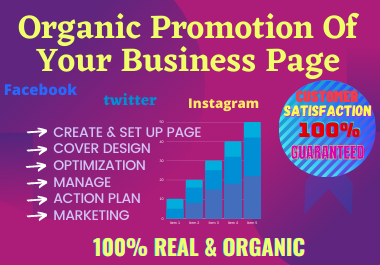 I will set up, Manage and optimize your facebook Bus...
