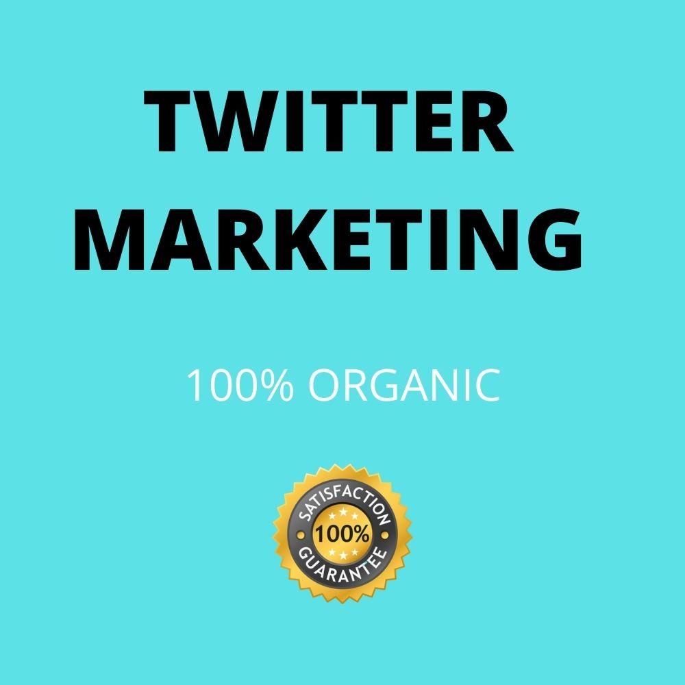 I will do professional twitter marketing for your bus...