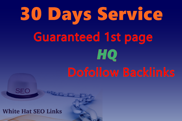 I will build a perfect monthly SEO dofollow backlinks...