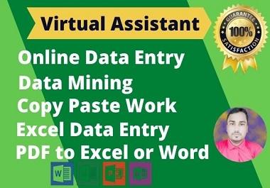 I will do virtual assistant for data entry, data mini...