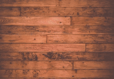 I will create all social media accounts and pages