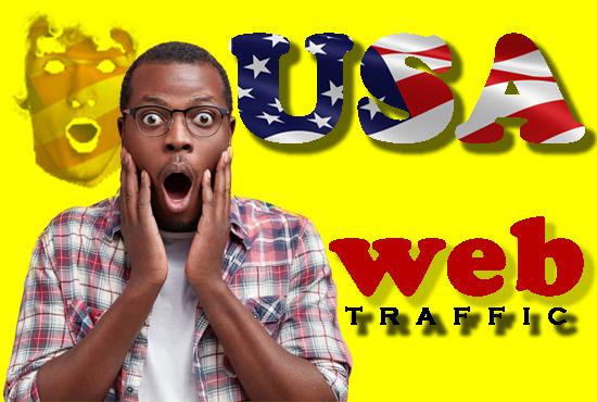 I will drive safe genuine organic traffic your web si...