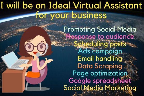 I will be an ideal virtual assistant for your busines...