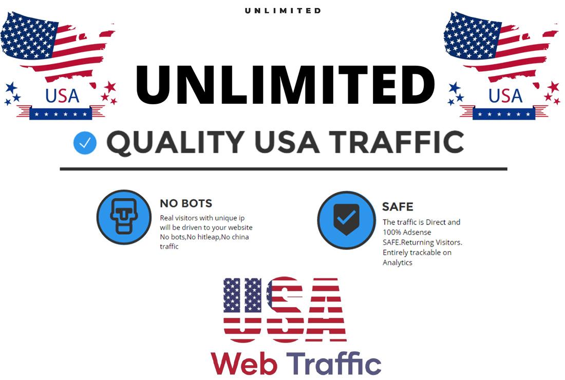 I Will Give You Unlimited USA Website 32x Traffic For...