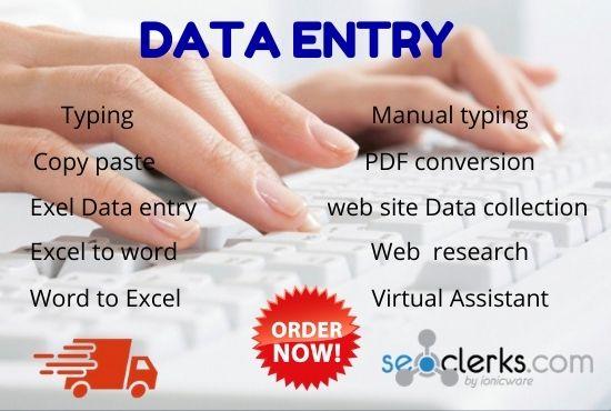 I will do data entry, copy paste, typing and web res...