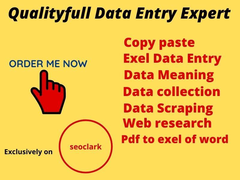 I will do data entry, excel, copy paste, web resea...