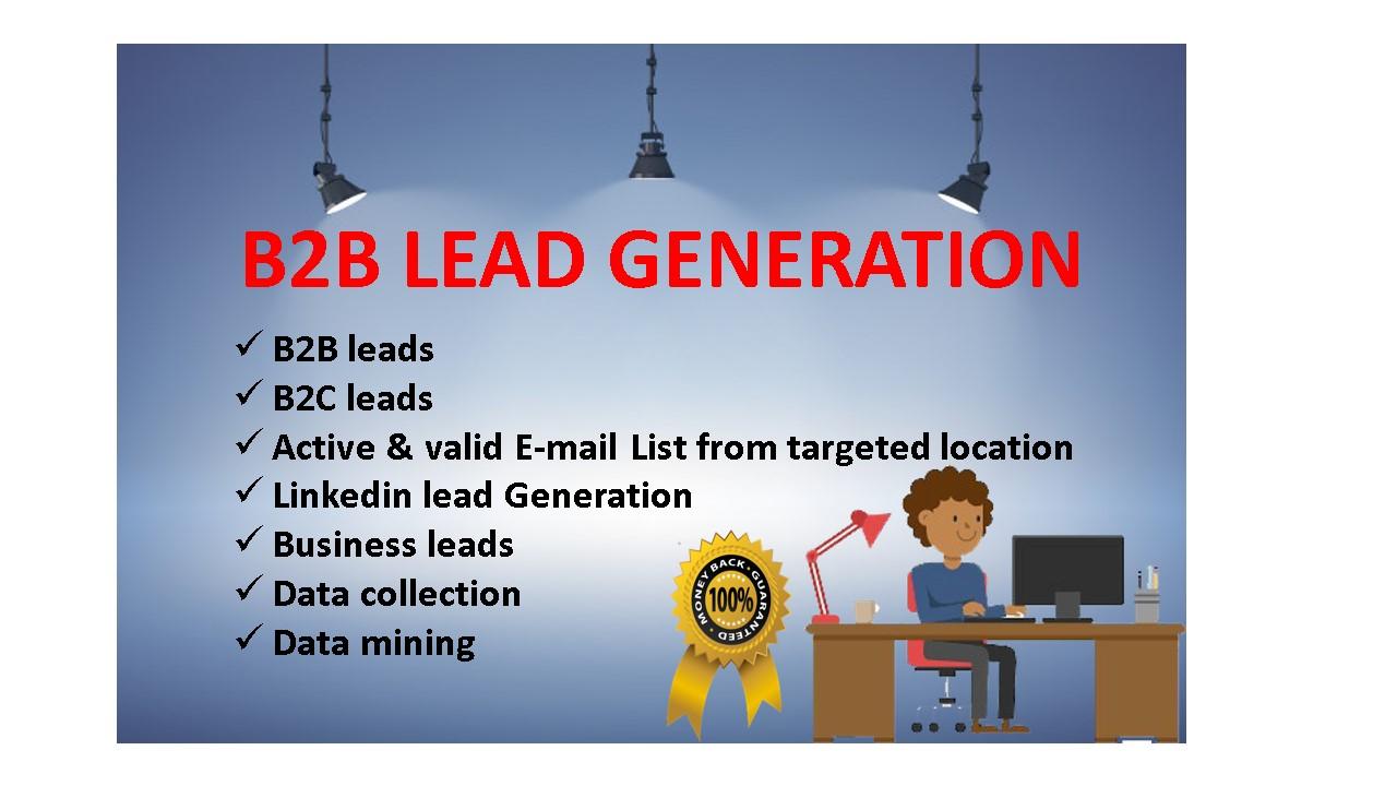 I will provide active & fresh B2B lead Generation...