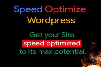 I will speed up wordpress website for google pagespee...