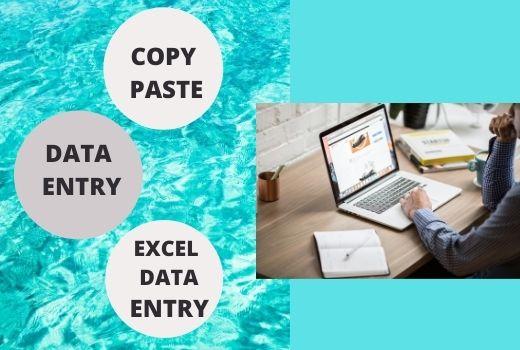 I will do copy paste, data entry and excel data entr...