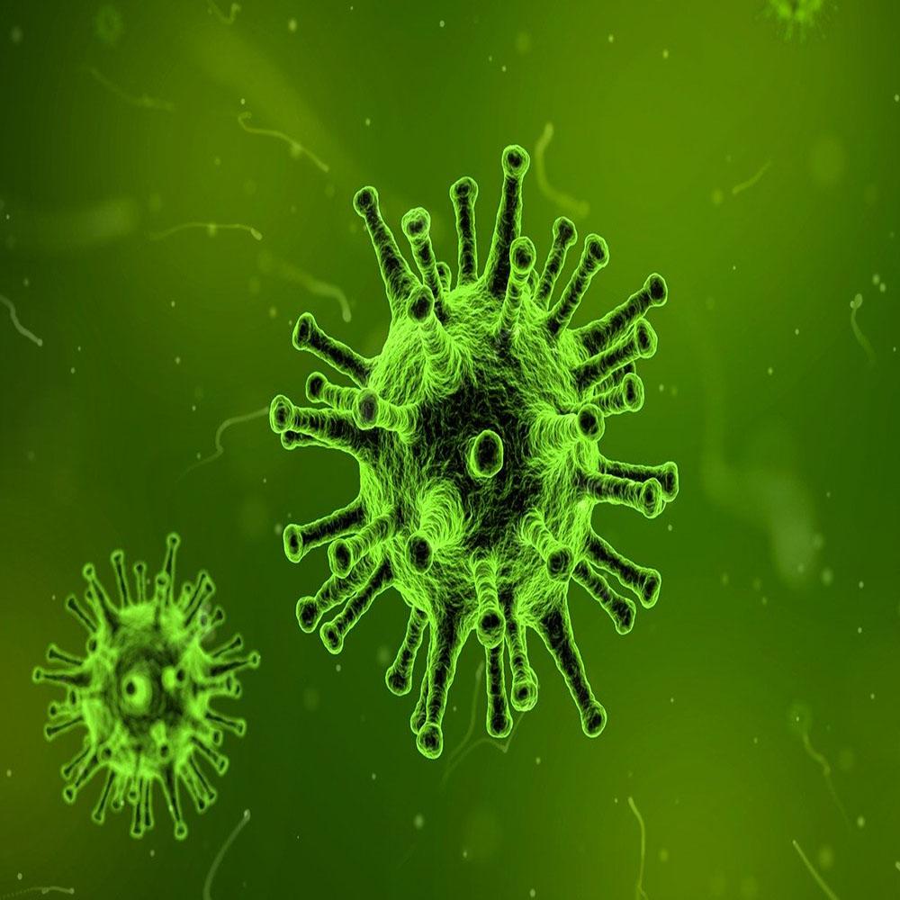 I will Give you 1000 PLR Articles on 