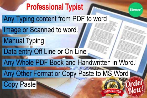 Professionally all kind of Word, Excel typing job 25...