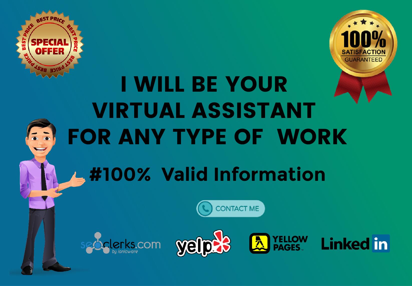 I will be your online virtual assistant for any type ...