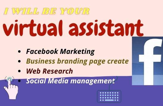I will be your Personal And Business Virtual Assistan...