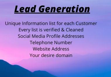 I will provide targeted lead list for any business ni...