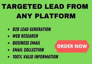 I will do targeted b2b lead generation from any platf...