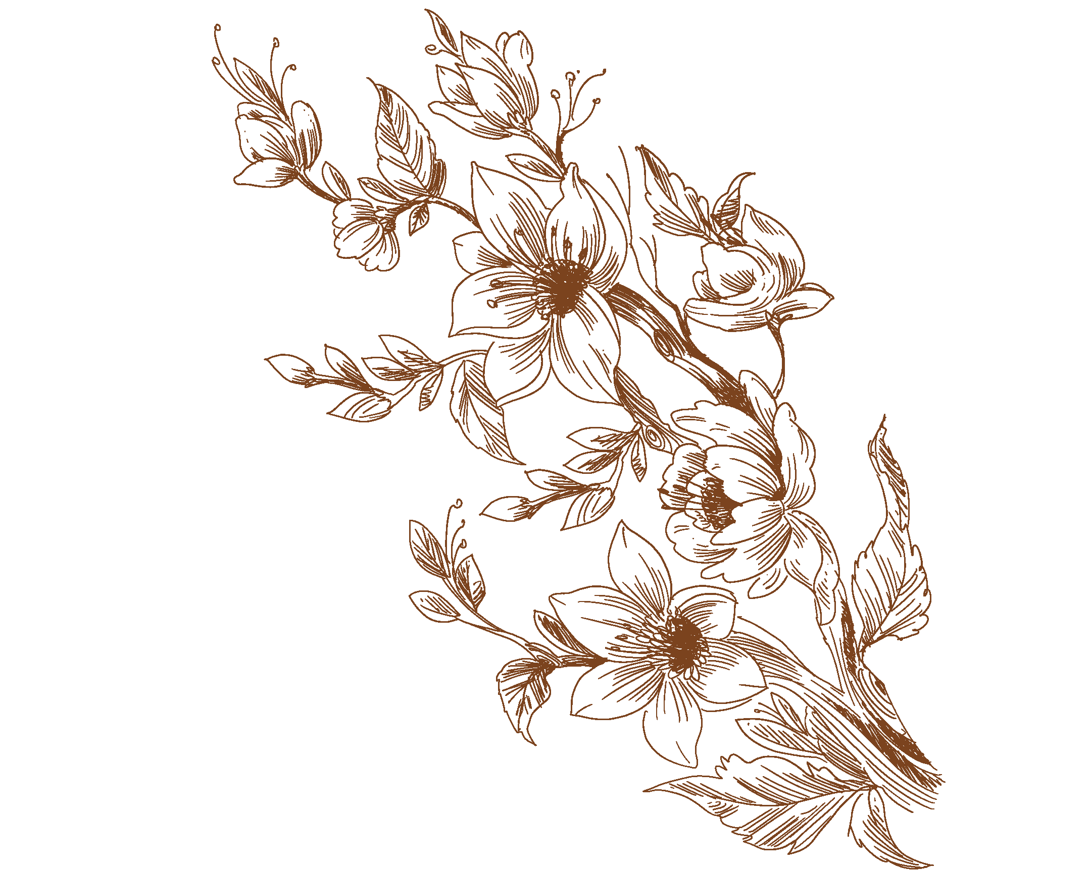 I Will Provide you a Vector Liner Flower With Any col...