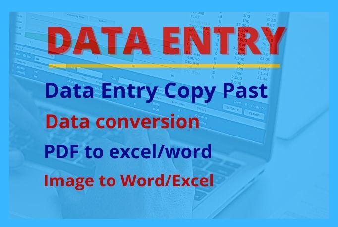 I will provide Data entry, Data converting