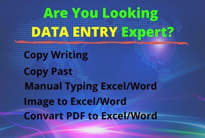 I will Provide you Data Entry and Copy Writing work