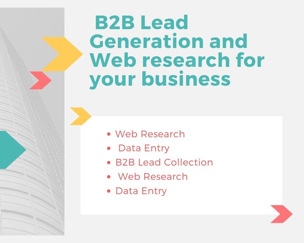 I will give you b2b lead generation and web research ...