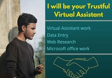 I will be your Virtual Assistant for your professiona...