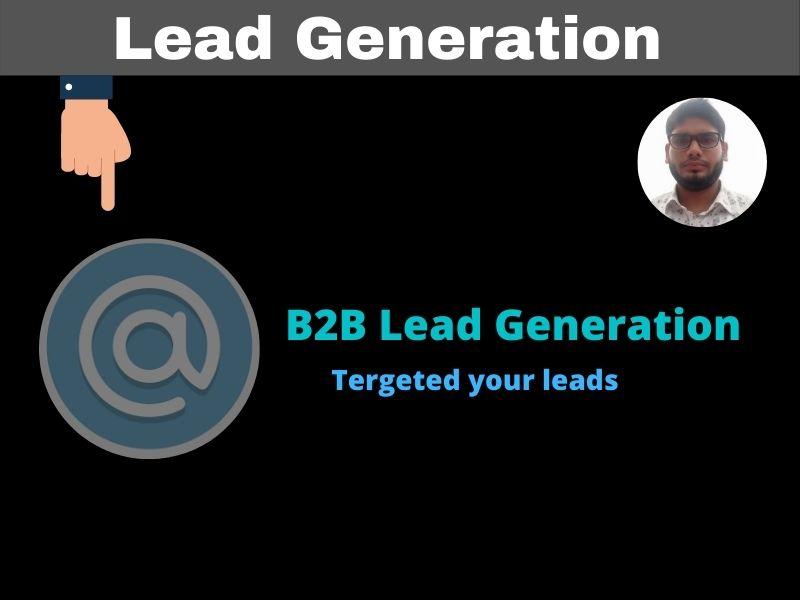 I will provide b2b lead generation and targeted lead ...
