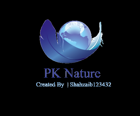 I will design modern and professional logo and graphi...