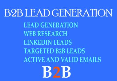 I will give targeted b2b lead generation from any com...