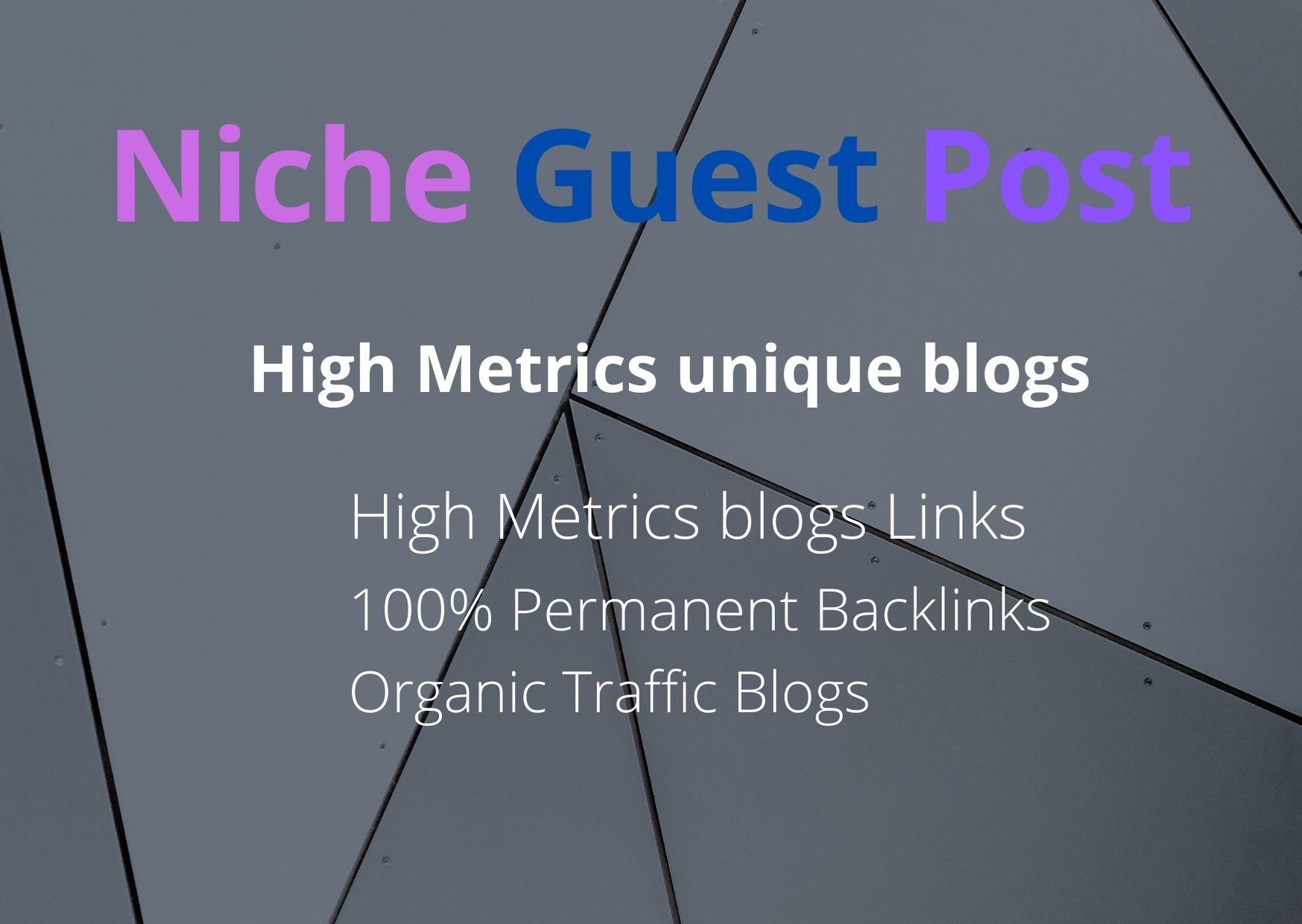I will write and publish 10 niche guest post on high ...