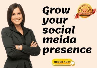 I will be the social media marketing manager and cont...